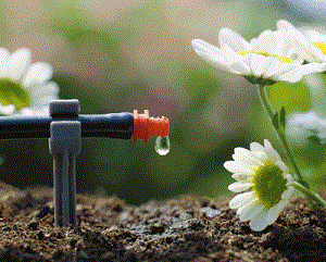 Impianto di irrigazione del giardino