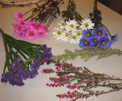 conservazione fiori